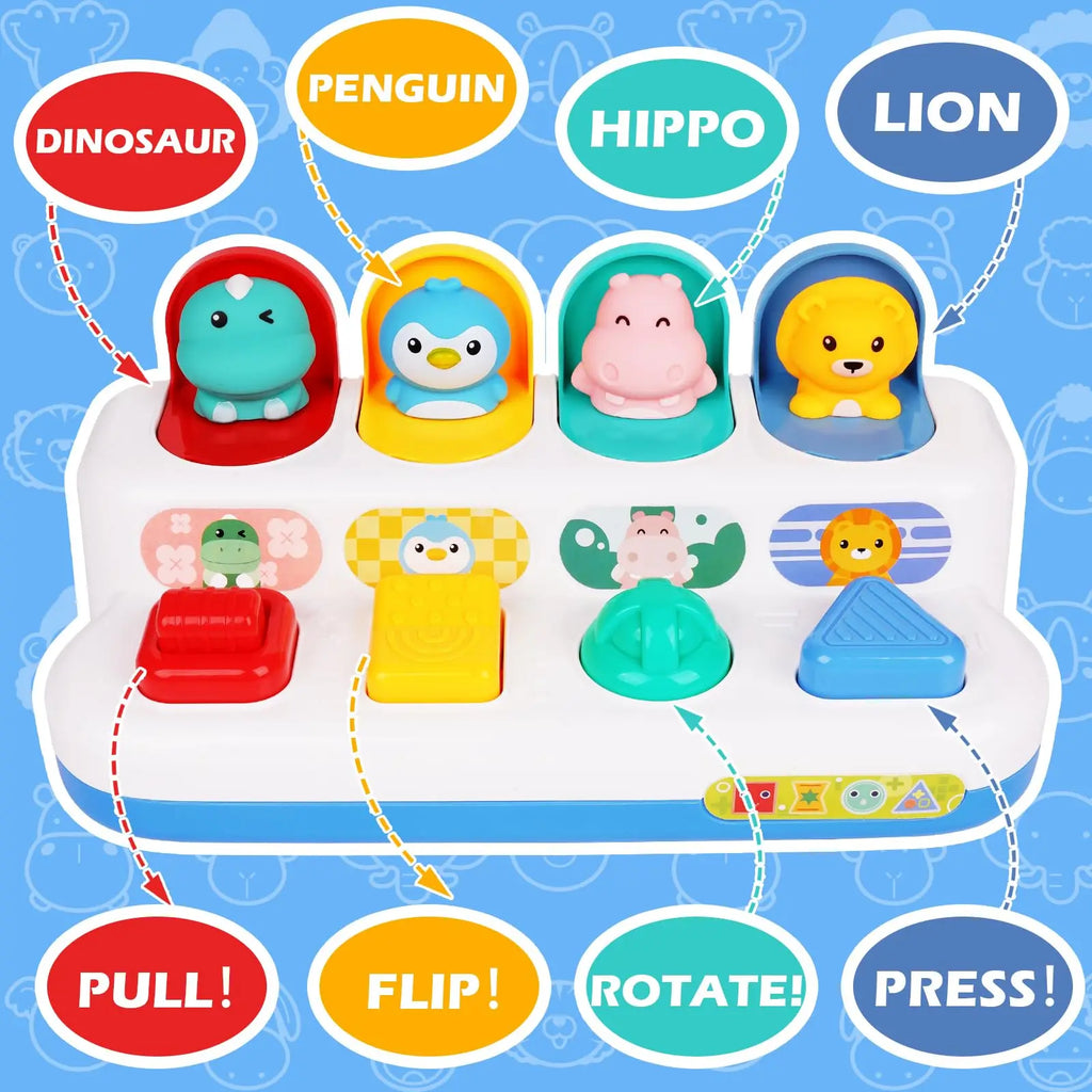 Interactive Activity Pop up Toy for Babies Cause and Effect Toy Baby Development Games Montessori Educational Learning Toys